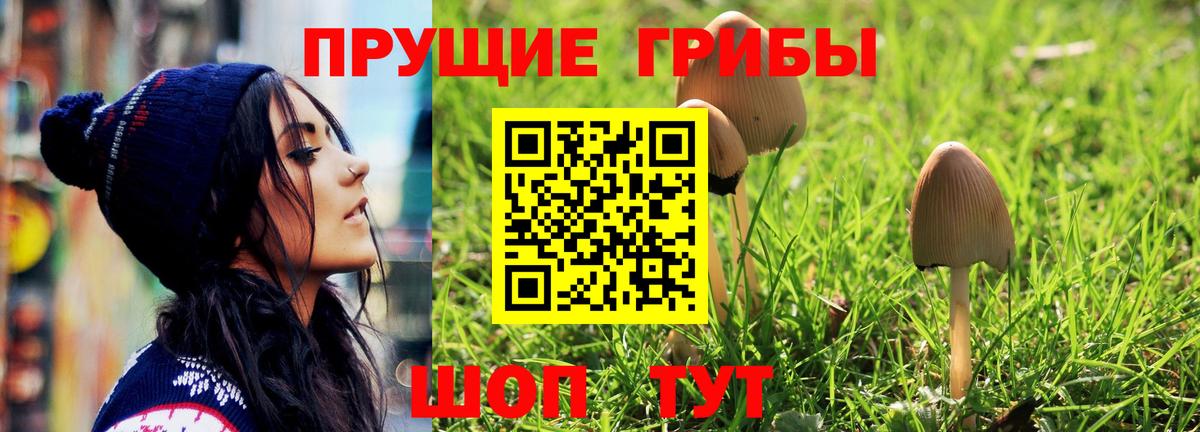 Галлюциногенные грибы Psilocybine cubensis  Псилоцибиновые грибы мухоморы  Верхняя Салда 