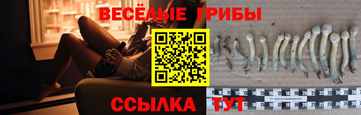 Псилоцибиновые грибы ЛСД  Вход с VPN  Псилоцибиновые грибы мицелий  Верхняя Салда 